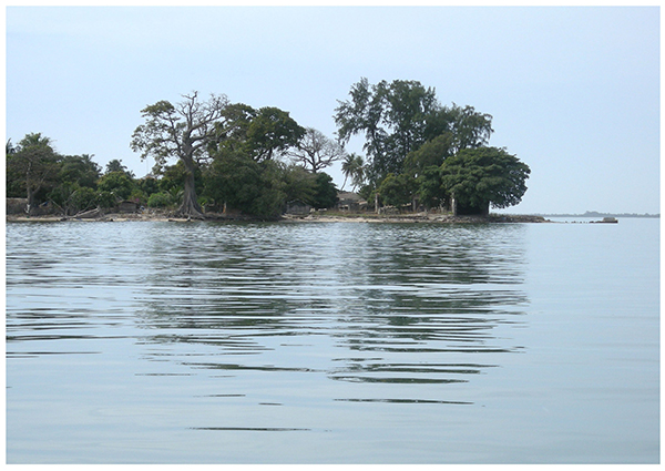 Paysage Casamance 2